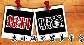 南宁当地新闻爆料平台有哪些,本地资讯一手掌握